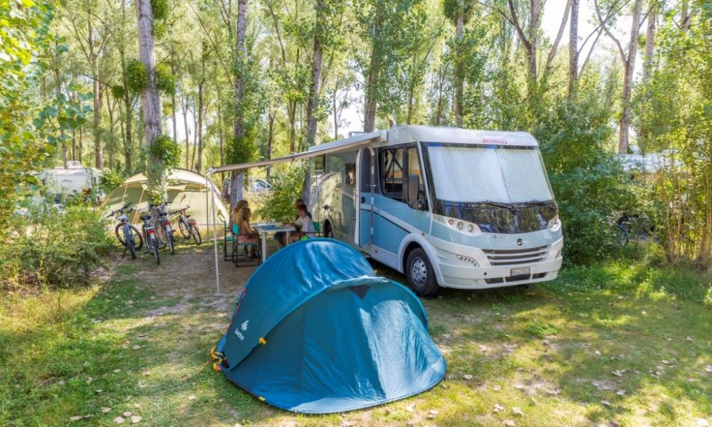 Camping Sites et Paysages les Saules-Cheverny-camping car-famille